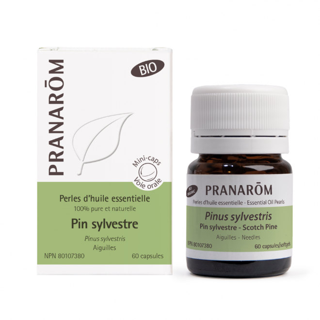 Pin Sylvestre - Perles d'huile essentielle - Pranarom